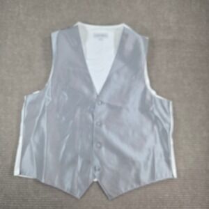 Larr Brio Mens M Silver Pinstripe Formal Button Front Waistcoat Vest